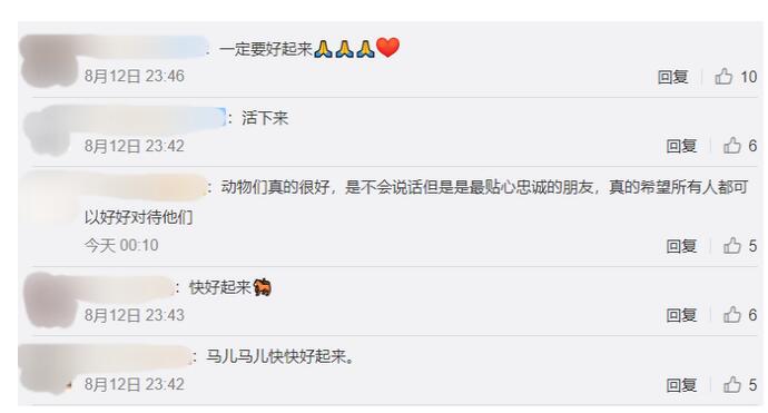 病危！获救者妈妈哭诉致歉救命恩马：对不起，能不能好起来