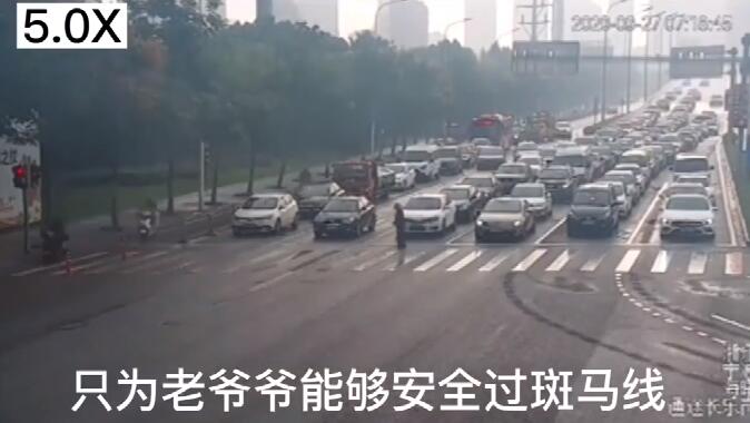 人间自有真情在！绿灯为过马路老人多亮了97秒 所有车辆按下暂停键！