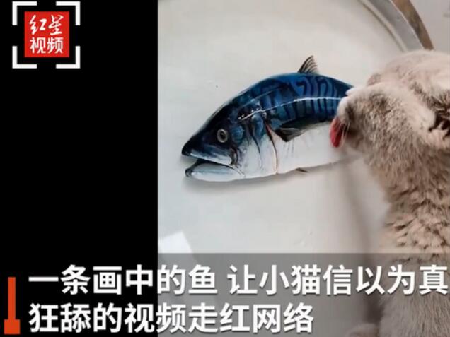 高手在民间！小伙创作3D树脂鱼馋得猫舔盆子太逼真了