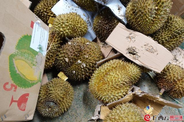 49吨榴莲销毁成有机肥什么情况?终于真相了,原来是这样!