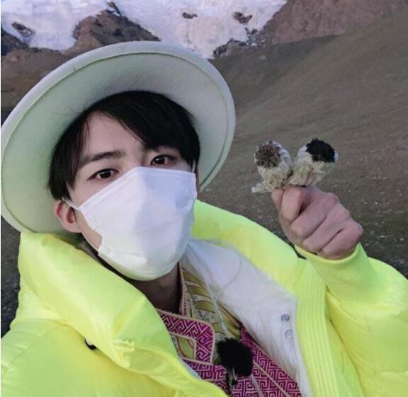【刘宇宁道歉了】刘宇宁就采摘雪莲花一事道歉 摩登兄弟引发争议