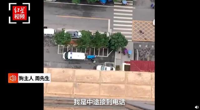 哈士奇把主人77岁奶奶气进医院 曾称自己的哈士奇跟别的不一样