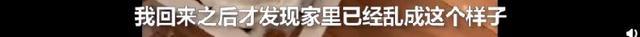 哈士奇把主人77岁奶奶气进医院 曾称自己的哈士奇跟别的不一样