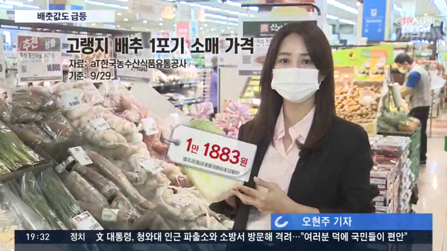 令人咂舌！韩国大白菜涨价至62元一棵 江原道发生两伙盗贼同时偷白菜案件