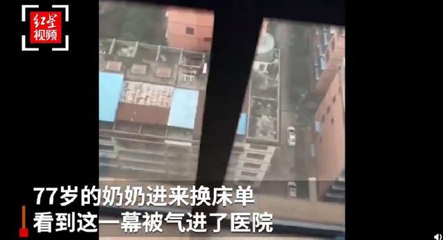 哈士奇把主人77岁奶奶气进医院 曾称自己的哈士奇跟别的不一样