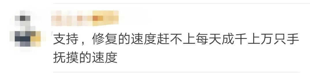龙门石窟千年佛像被摸出“包浆”？具体什么情况？