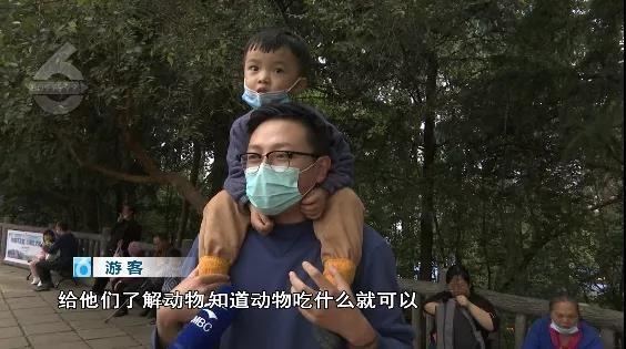 令人气愤！游客用裹塑料袋苹果投喂大象