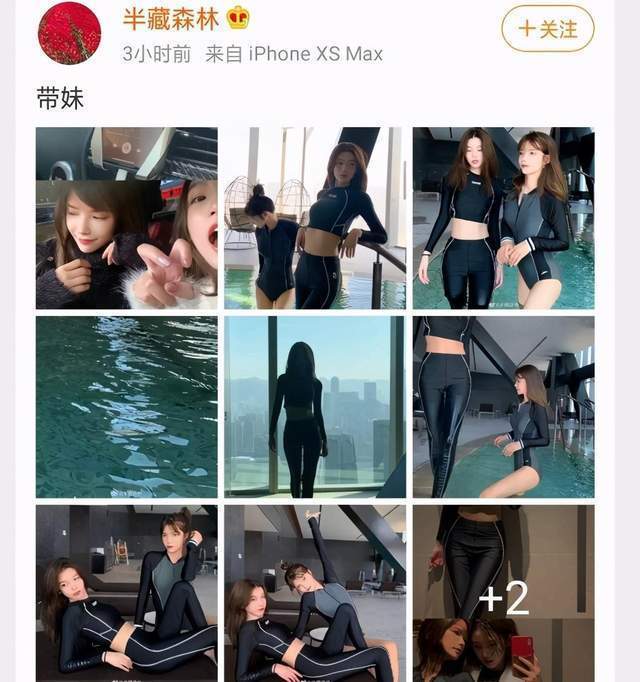 王思聪回应评论半藏森林说了什么？具体发生了什么？