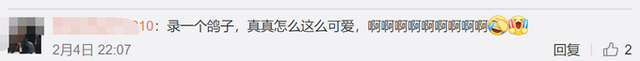 神王冰冰连线采访丁真，具体是啥情况？
