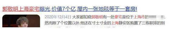 曝张柏芝房产值2亿 与刘亦菲郭敬明是邻居