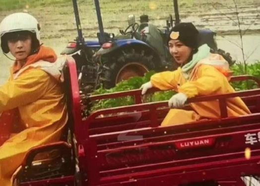 杜华点赞杨紫张艺兴视频是什么梗？杜华点赞杨紫张艺兴视频详情始末