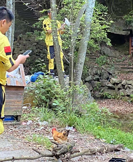 专家：第3只豹子，可能已经死亡