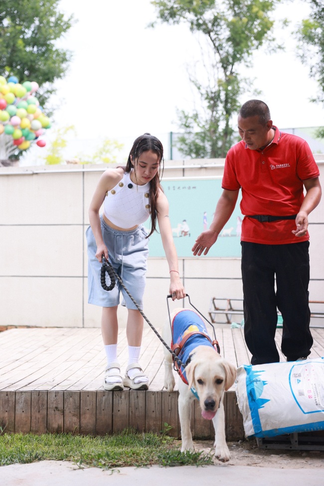 蔡依林走进西安导盲犬中心 体验跟随导盲犬出行