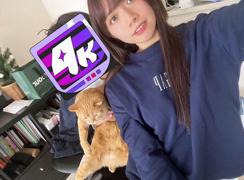【传阗】最近加入偶像团体的她被控弃猫。